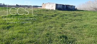 Finca rústica en Almonte. Venta de finca  en propiedad, de 3ha de terreno en almonte.