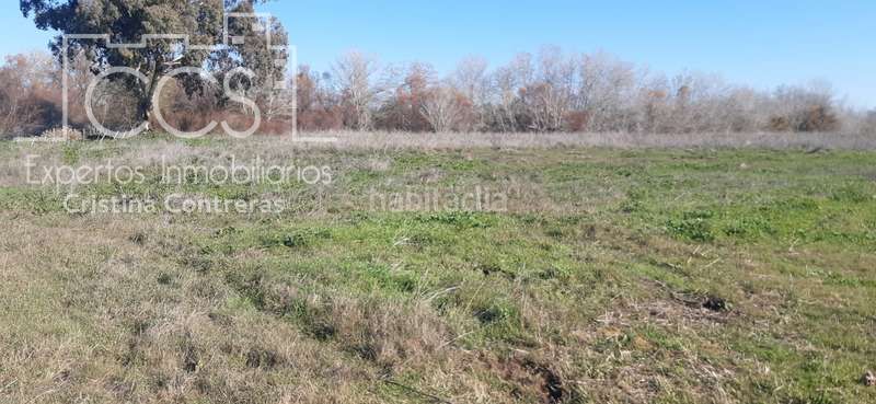 Foto 5cba1bfc-442a-4764-98d9-8d51c596e4d8. Finca rústica a Almonte Almonte