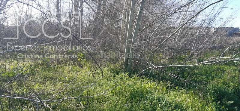 Foto 6c12f53f-d120-49de-96cb-0eaf95ed431d. Propriété dans Almonte Almonte