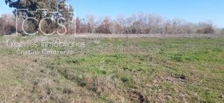 Propriété à Almonte. Venta de finca  en propiedad, de 3ha de terreno en almonte.