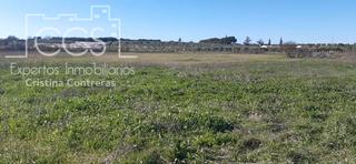 Finca rústica a Almonte. Venta de finca  en propiedad, de 3ha de terreno en almonte.