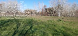 Finca rústica a Almonte. Venta de finca  en propiedad, de 3ha de terreno en almonte.