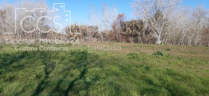 Foto c3f76bab-1ac5-448b-b027-252edf2ba0d7. Finca rústica a Almonte Almonte