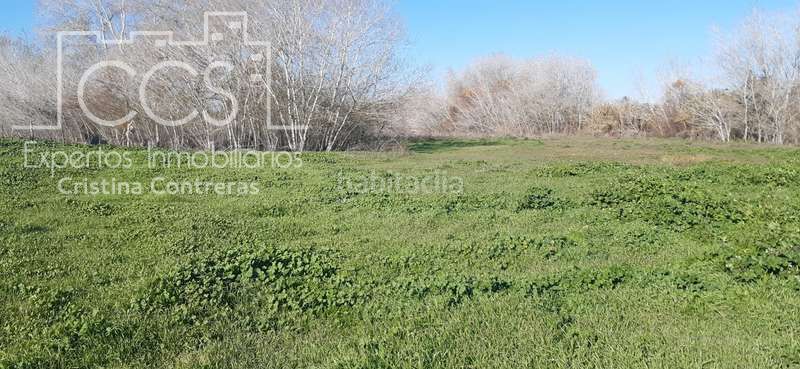 Foto de66c760-c206-4d6b-acff-0a5aae094e66. Finca rústica a Almonte Almonte