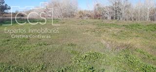 Finca rústica a Almonte. Venta de finca  en propiedad, de 3ha de terreno en almonte.