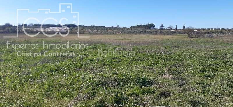 Foto ed0bc917-30db-44cd-bf33-2439dadd2879. Propriété dans Almonte Almonte