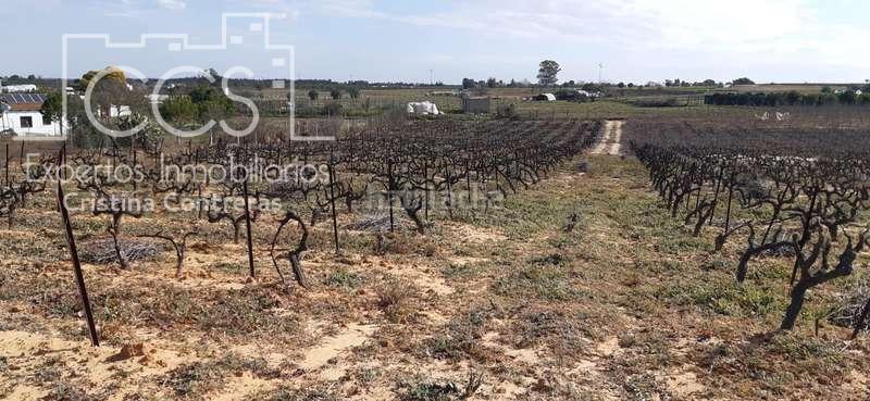 Foto 0affd42f-88ef-4e13-a16e-9f26c50700cb. Landgut in Almonte Almonte