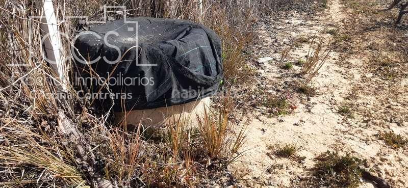 Foto 289d075b-1a45-4527-aa2d-7bfb9b73fc5b. Landgut in Almonte Almonte