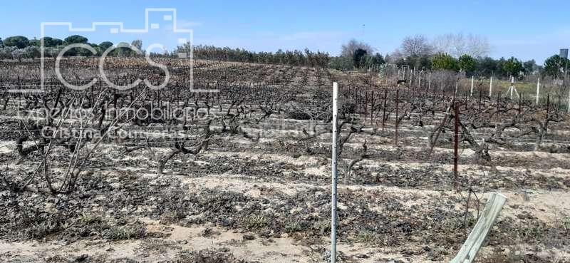 Foto 3847207f-1c28-4567-a4fc-506f85a2b4c1. Landgut in Almonte Almonte