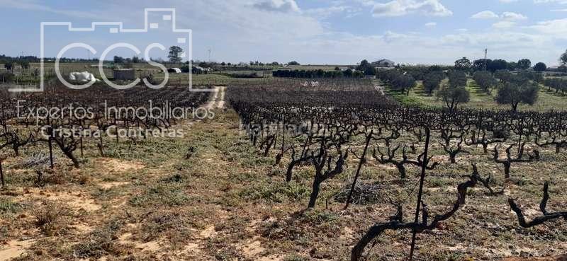 Foto 8c25f598-4c41-42be-809e-1a7728ec9bd9. Landgut in Almonte Almonte