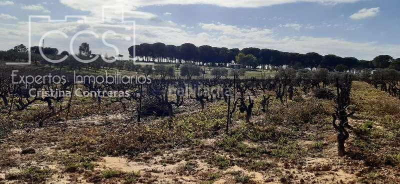 Foto ad772243-1964-4bc6-a14a-aa942efaa3a6. Landgut in Almonte Almonte