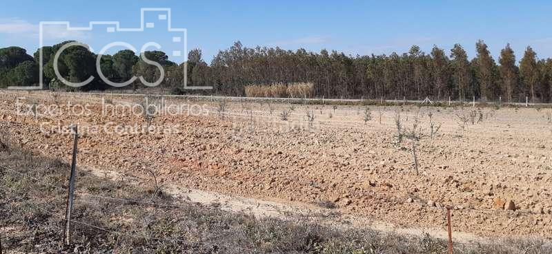 Foto f893c6d3-9cf9-47ae-934d-2705963e3537. Landgut in Almonte Almonte