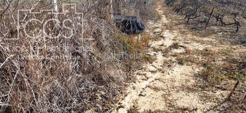 Foto fb86e63b-9f8a-4efd-9ceb-1981386c855d. Landgut in Almonte Almonte