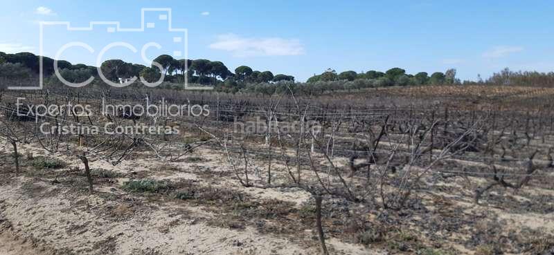 Foto fca6e7b1-3099-4c99-826e-826fa750d95c. Landgut in Almonte Almonte