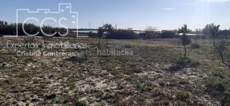 Foto 57281ba0-23d7-428c-b62d-bdc8d4541651. Finca rústica a Almonte Almonte