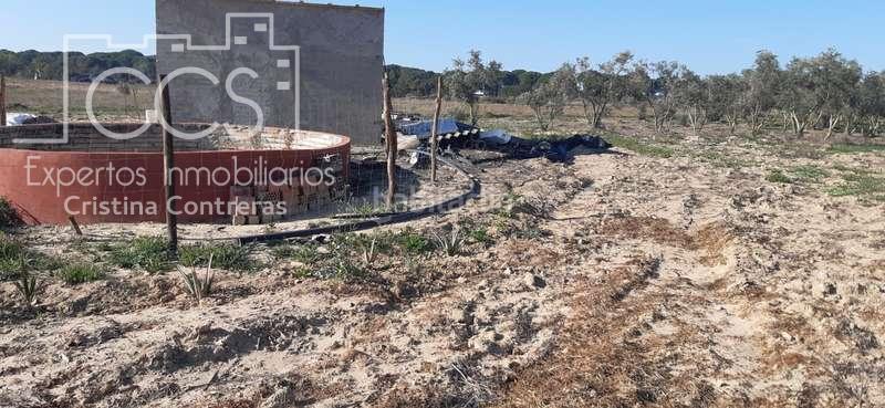 Foto e216b276-33f3-47c3-ba47-5a1f3a79885d. Finca rústica a Almonte Almonte