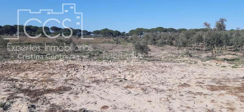 Foto ea26ee5f-3c13-4911-9244-d692bd64b3ee. Finca rústica a Almonte Almonte