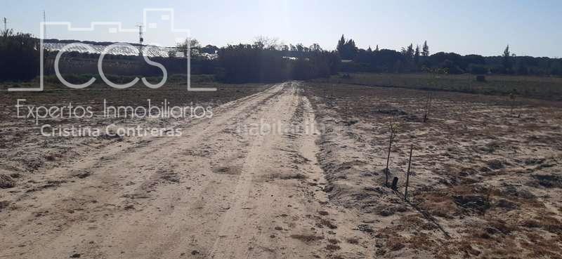 Foto fbadb2d6-30dc-4bf3-a28c-d6b93d97a1f1. Finca rústica a Almonte Almonte