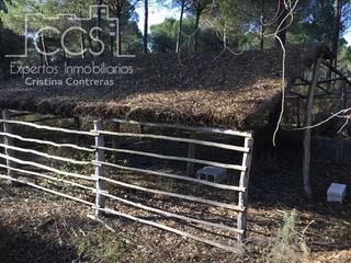 Finca rústica a Almonte. Venta de finca forestal en propiedad de  4 ha,  de terreno,  con