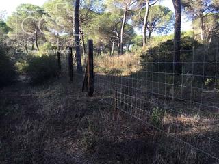 Finca rústica a Almonte. Venta de finca forestal en propiedad de  4 ha,  de terreno,  con