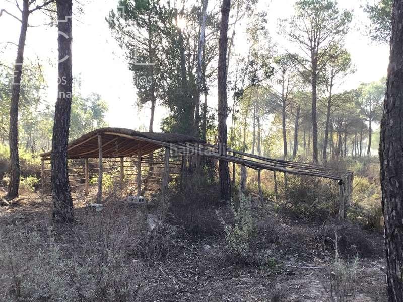 Foto 02a77ae4-636e-4ea9-988f-f05f8016468d. Propriété dans Almonte Almonte