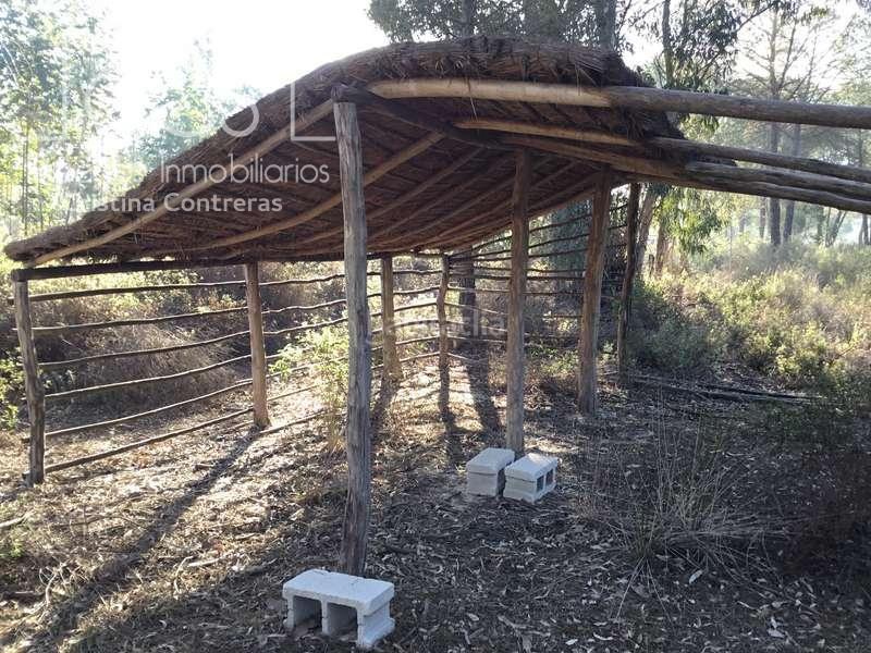 Foto 2f0bf2d5-79ba-4de9-b4e4-335ed5b10d5d. Propriété dans Almonte Almonte