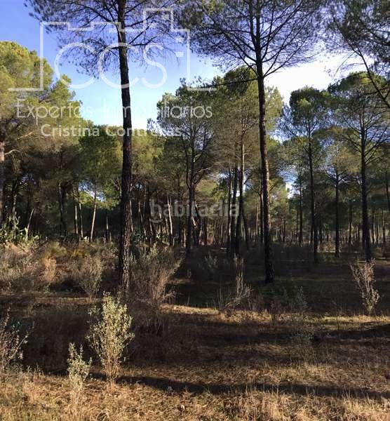 Foto 47297976-12e7-45f0-a29a-d07dd6519860. Propriété dans Almonte Almonte