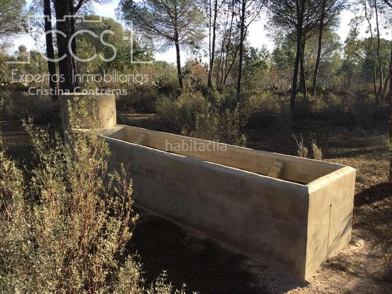 Foto 5393a23d-897b-453f-b098-8fc6103a9d9a. Propriété dans Almonte Almonte