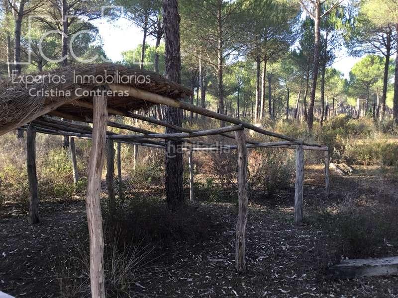 Foto 539cf1ba-2021-4273-985c-4e91fedca7c2. Propriété dans Almonte Almonte