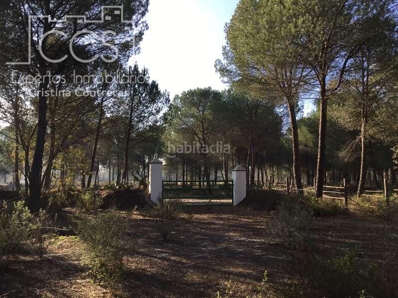 Foto 548a1108-9404-4427-8c4d-71139e4813fc. Propriété dans Almonte Almonte