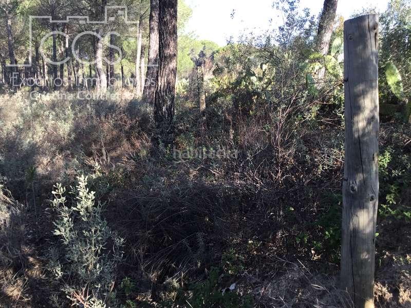 Foto 5b3eb4c9-9198-4de3-912f-ff5ed3746e05. Propriété dans Almonte Almonte