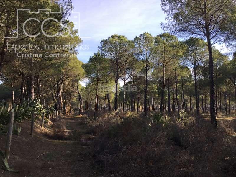 Foto 5d1eed0e-e804-4747-80fe-6b731c1056c9. Propriété dans Almonte Almonte