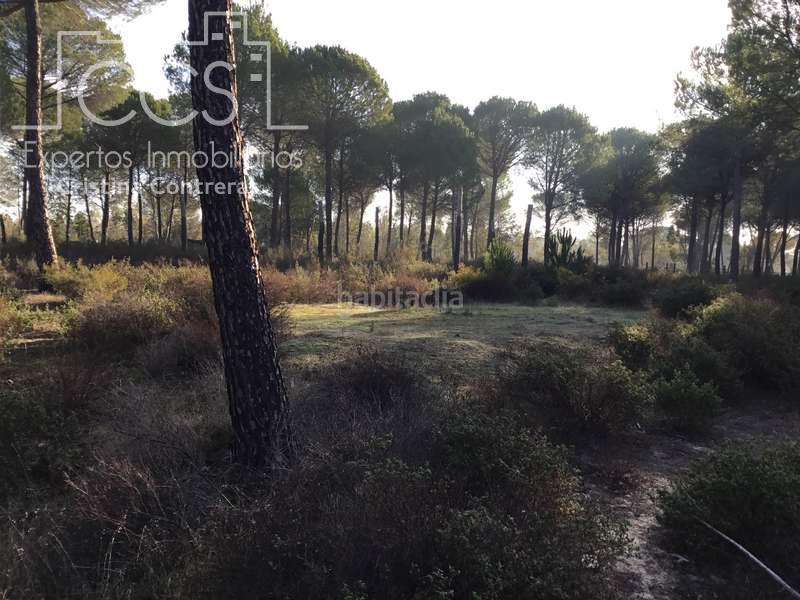 Foto 63710412-9591-4064-b37f-ae9f563410a7. Propriété dans Almonte Almonte