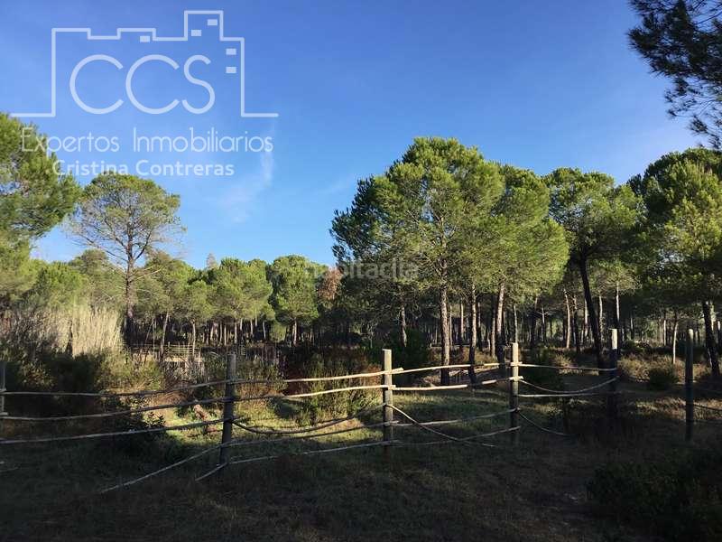 Foto 7bd1315c-1267-44b0-9077-149dc6124f83. Propriété dans Almonte Almonte