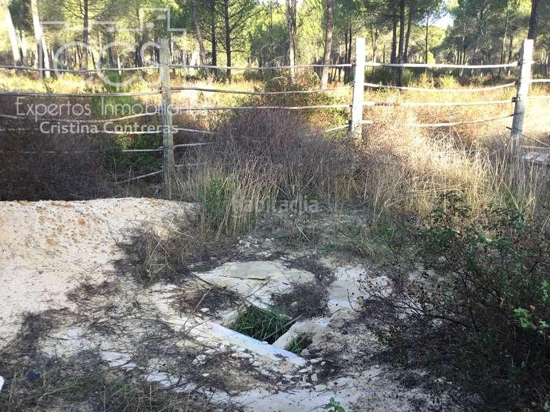 Foto 82ee35ad-664d-48e1-b884-c2044ec04da1. Propriété dans Almonte Almonte