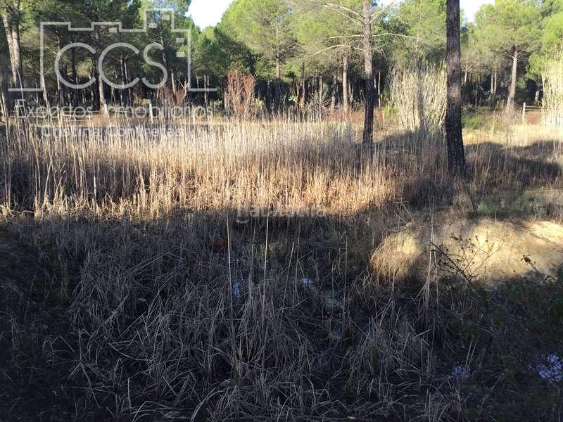 Foto a0f4b4fb-8c96-443b-8eee-231a6d8d773c. Propriété dans Almonte Almonte