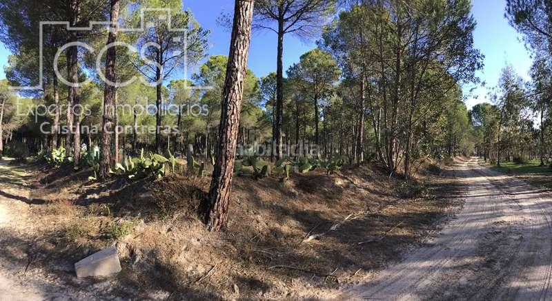 Foto a148b293-cc82-4d2d-895d-41246900b2e5. Propriété dans Almonte Almonte