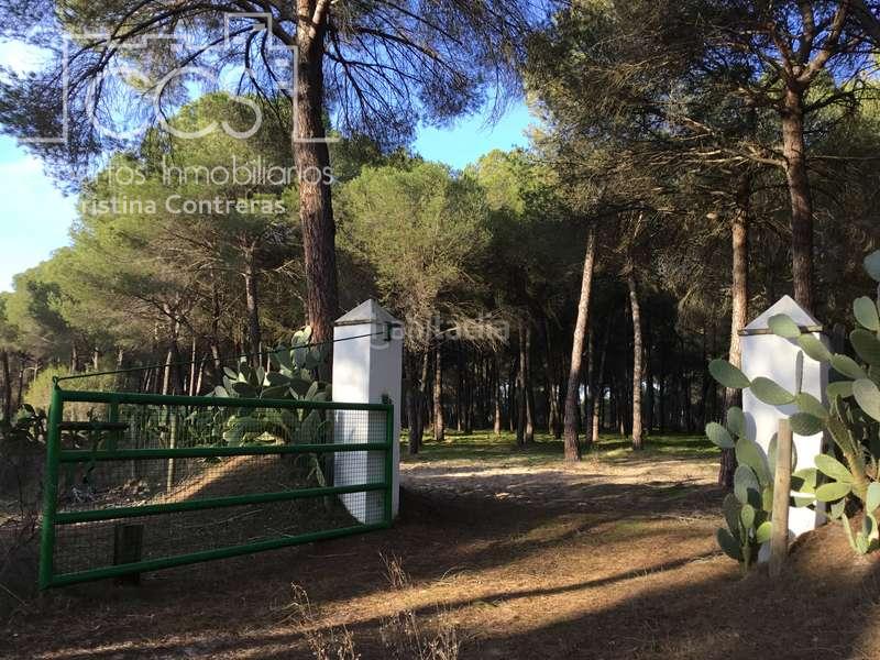 Foto a4df7ecf-2f71-4700-93de-722ee41ad27f. Propriété dans Almonte Almonte