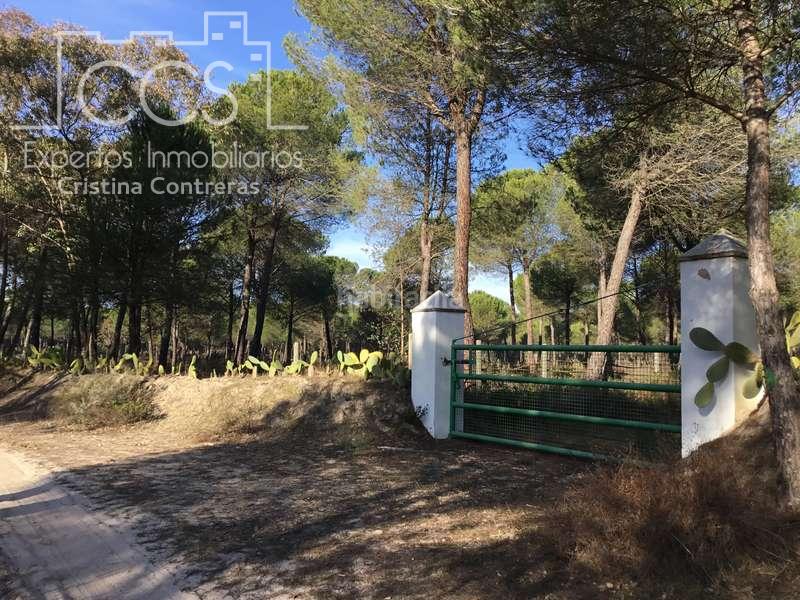 Foto b026fd60-017c-4463-8b52-ec9930a16039. Propriété dans Almonte Almonte