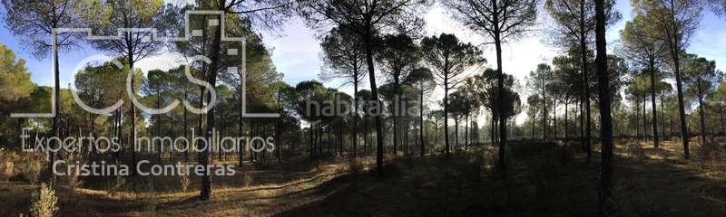 Foto b0474925-ec15-41c8-a6b6-a2b8057719d3. Propriété dans Almonte Almonte