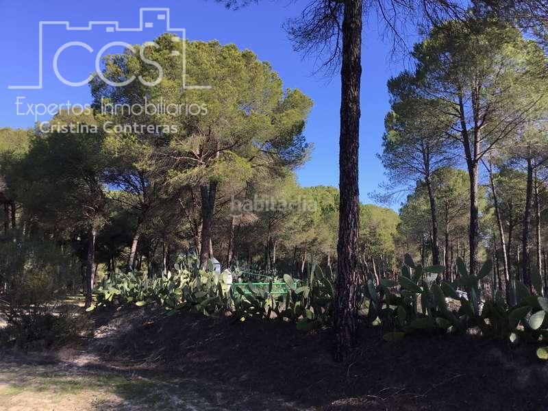 Foto b2a41b86-a1be-459b-b720-5d4642b23d2c. Propriété dans Almonte Almonte