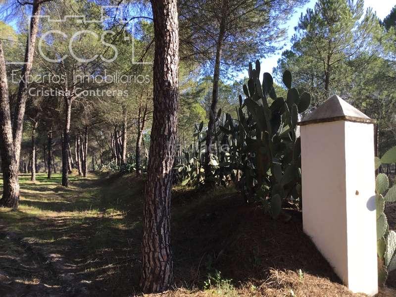 Foto b3d1e813-3fa1-4f9f-83db-af6284ed1c41. Propriété dans Almonte Almonte