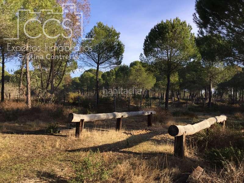 Foto c7ca2d9d-54ad-49af-808c-d68e5d0c9919. Propriété dans Almonte Almonte