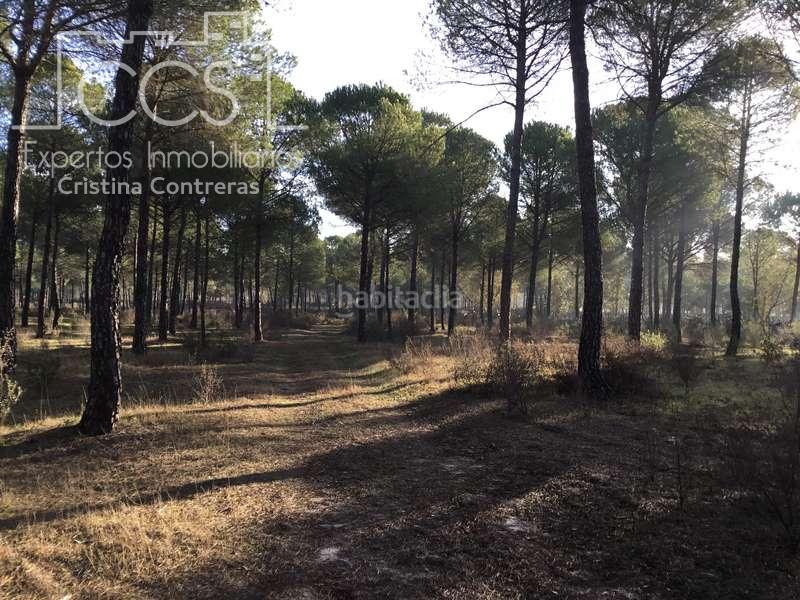 Foto ee569621-be1c-4284-bc55-42fa79ae08b2. Propriété dans Almonte Almonte