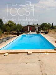 Masía en Rociana del Condado. Venta de finca de 12.285 m2 de terreno con casa de madera de  85