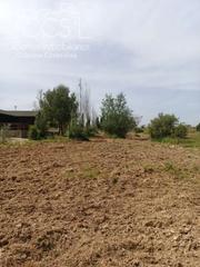 Mas à Rociana del Condado. Venta de finca de 12.285 m2 de terreno con casa de madera de  85