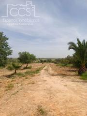 Mas à Rociana del Condado. Venta de finca de 12.285 m2 de terreno con casa de madera de  85