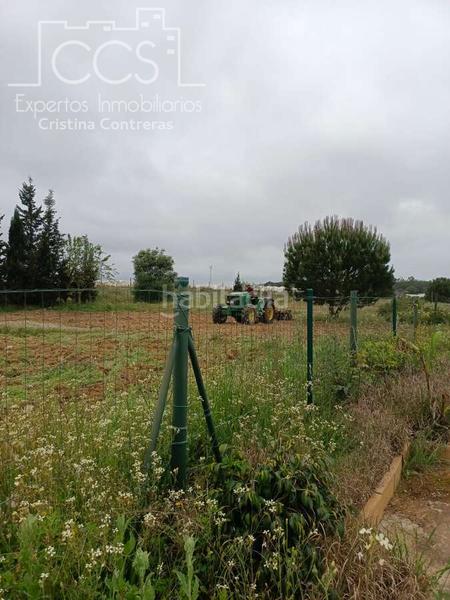 Foto 311f21a6-b13a-4fa5-b69d-d826a67b5f52. Masía venta de finca de 12.285 m2 de terreno con casa de madera de 85m2 construidos en rociana, huelva en Rociana del Condado
