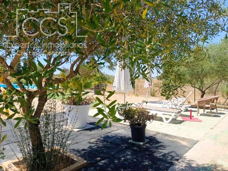 Foto 516407cb-686f-4d5a-8db4-01fd390fd8ee. Masía venta de finca de 12.285 m2 de terreno con casa de madera de 85m2 construidos en rociana, huelva en Rociana del Condado