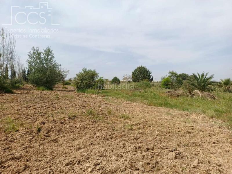 Foto 6660fc13-343a-4e1c-9398-5c5750ccfa31. Masía venta de finca de 12.285 m2 de terreno con casa de madera de 85m2 construidos en rociana, huelva en Rociana del Condado